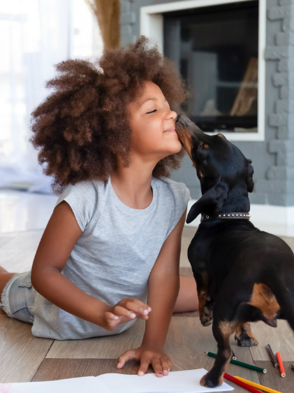 Cómo elegir vivienda con mascotas