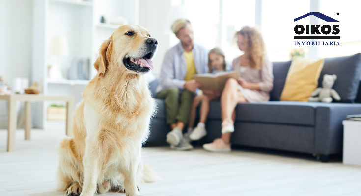 Viviendas adaptadas para tener mascotas