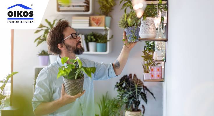 hombre haciendo su jardín en el apartamento