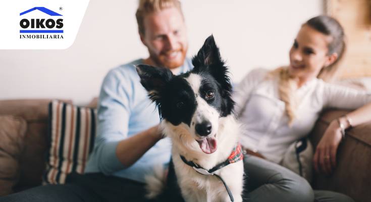 familia con su mascota